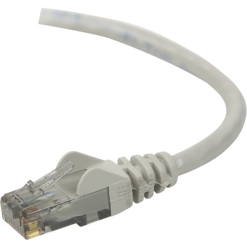 Belkin BLKA3L98020 CAT6 Ethernet Patch Cable, RJ45, M/M