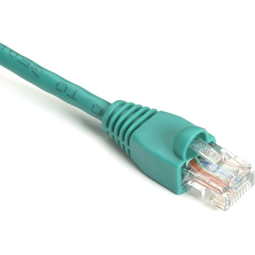 Black Box BBNEVNSL8206IN GigaBase Cat.5e UTP Patch Network Cable