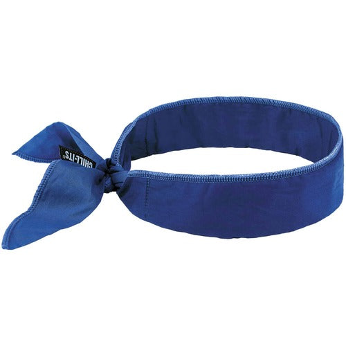 Ergodyne EGO12399 6702 Cooling Bandana