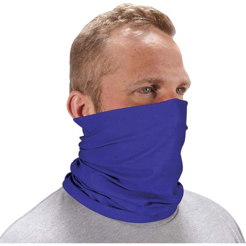 Ergodyne EGO42120 6485 Blue Multi-Band