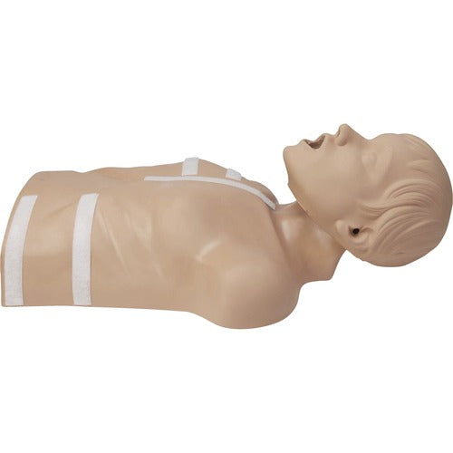 ZOLL ZOL8000083501 CPR-D Demo Manikin