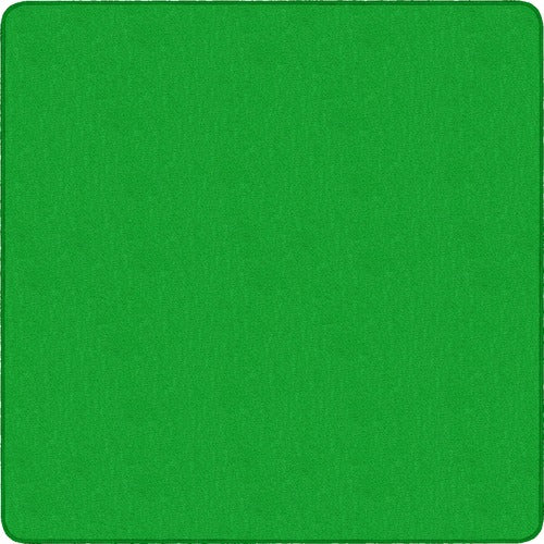 Flagship Carpets FCIAS70LG Classic Solid Color 12' Square Rug