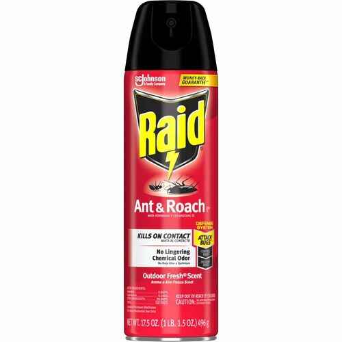 Raid SJN386220 Ant & Roach Killer Spray