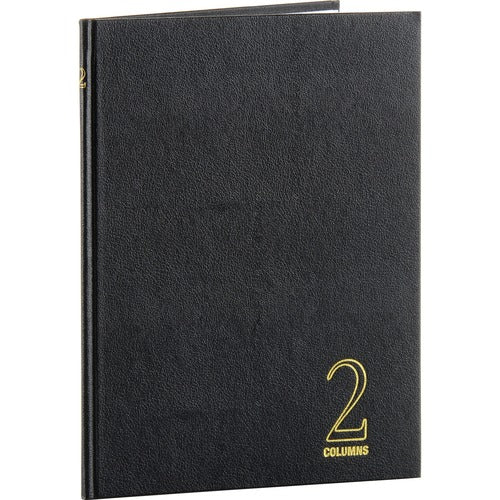 Wilson Jones WLJ74102 74100 2-Column Account Book