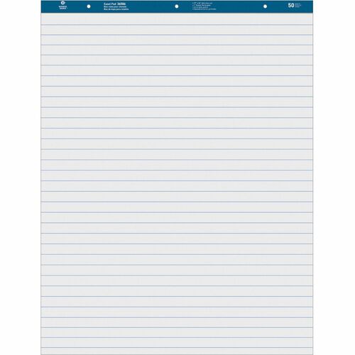 Business Source BSN36586 Standard Ruled Easel Pad