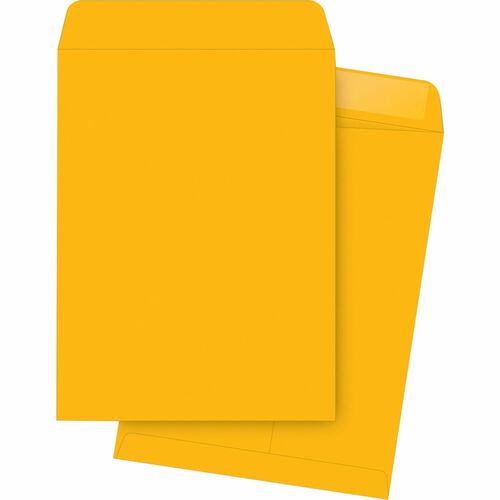 Business Source BSN42104 Durable Kraft Catalog Envelopes