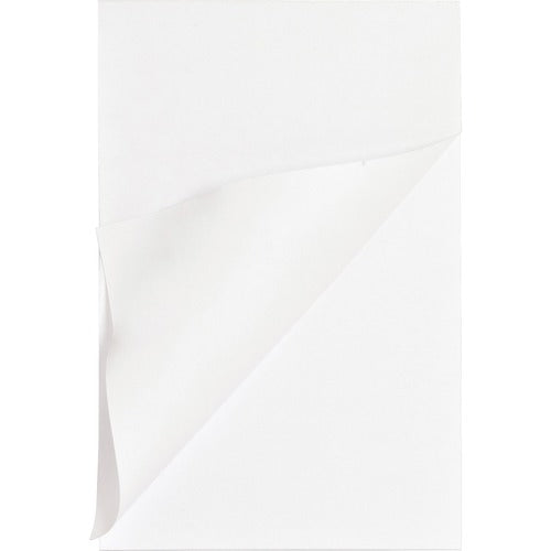 Business Source BSN65902 Plain Memo Pads