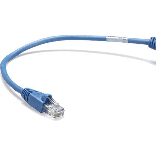 Black Box BBNCAT6PC001BL Connect Cat.6 UTP Patch Network Cable