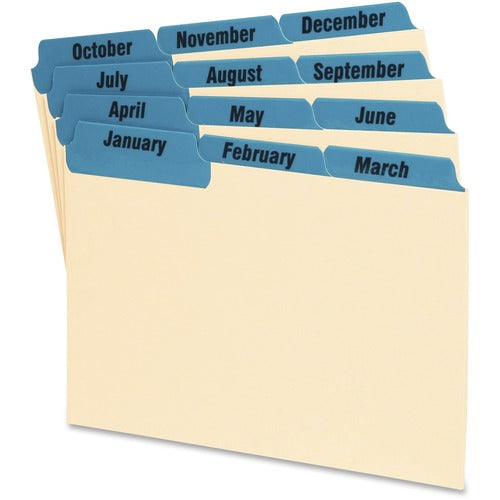 Oxford OXF04613 Laminated Tab Index Card Guides
