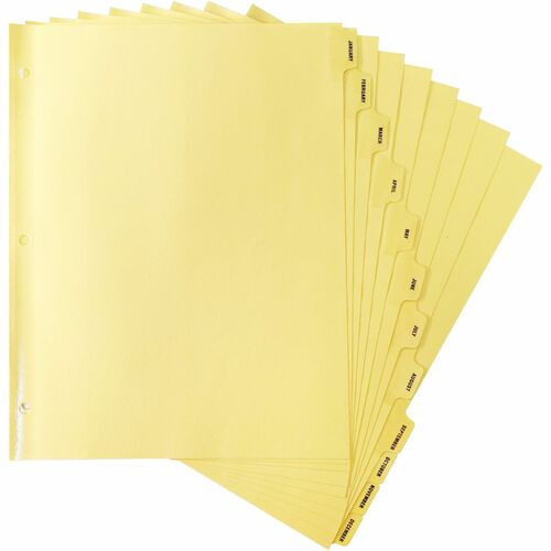 Business Source BSN01807 Monthly Clear Plastic Tab Index Dividers