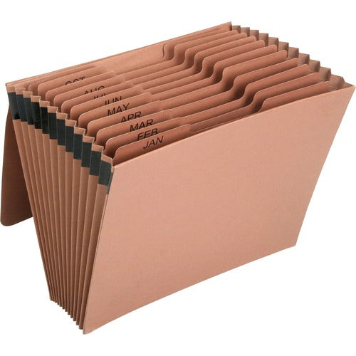 SKILCRAFT® NSN6819894 SKILCRAFT Letter Recycled Organizer Folder