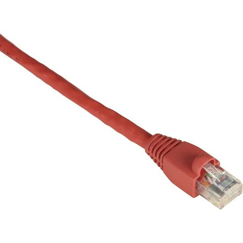 Black Box BBNEVNSL6430006 GigaTrue Cat.6 UTP Patch Network Cable