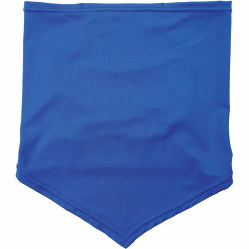 Ergodyne EGO42134 6483 Cooling Neck Gaiter Bandana with Pocket