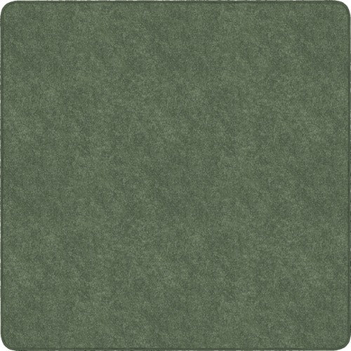Flagship Carpets FCITS70SG Amerisoft Solid Color Rug