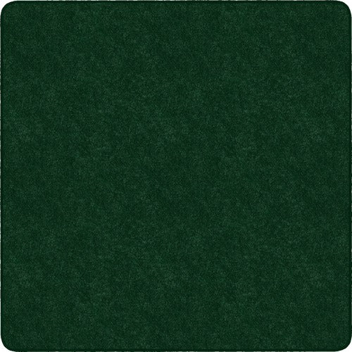 Flagship Carpets FCITS26EG Amerisoft Solid Color Rug