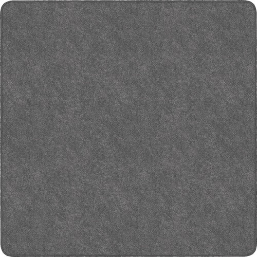 Flagship Carpets FCITS26GY Amerisoft Solid Color Rug