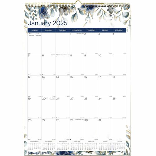 Blueline REDC173128 Abstract Floral Monthly Wall Calendar