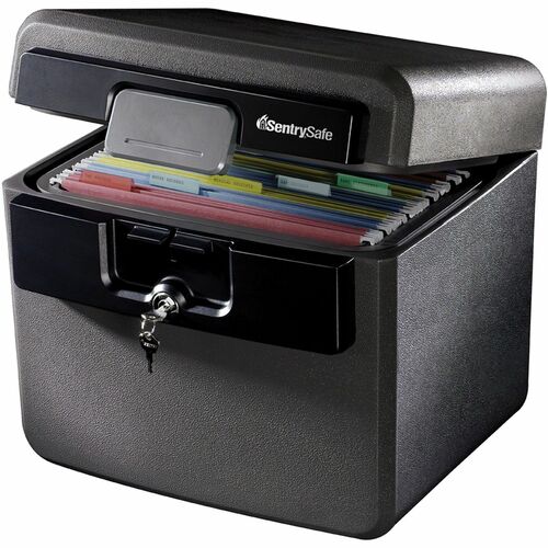 Sentry Safe SENHD4100 HD4100 Fire/Water Safe