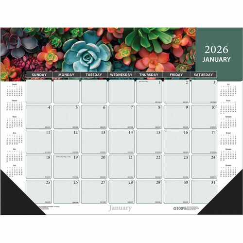 House of Doolittle HOD121 Recycled Succulent/Cacti Desk Pad